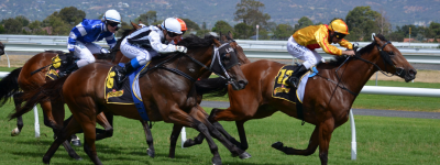 Three horses with jockeys racing