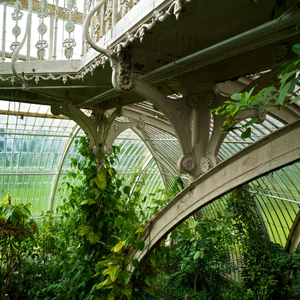 Inside a glass house at Kew Gardens